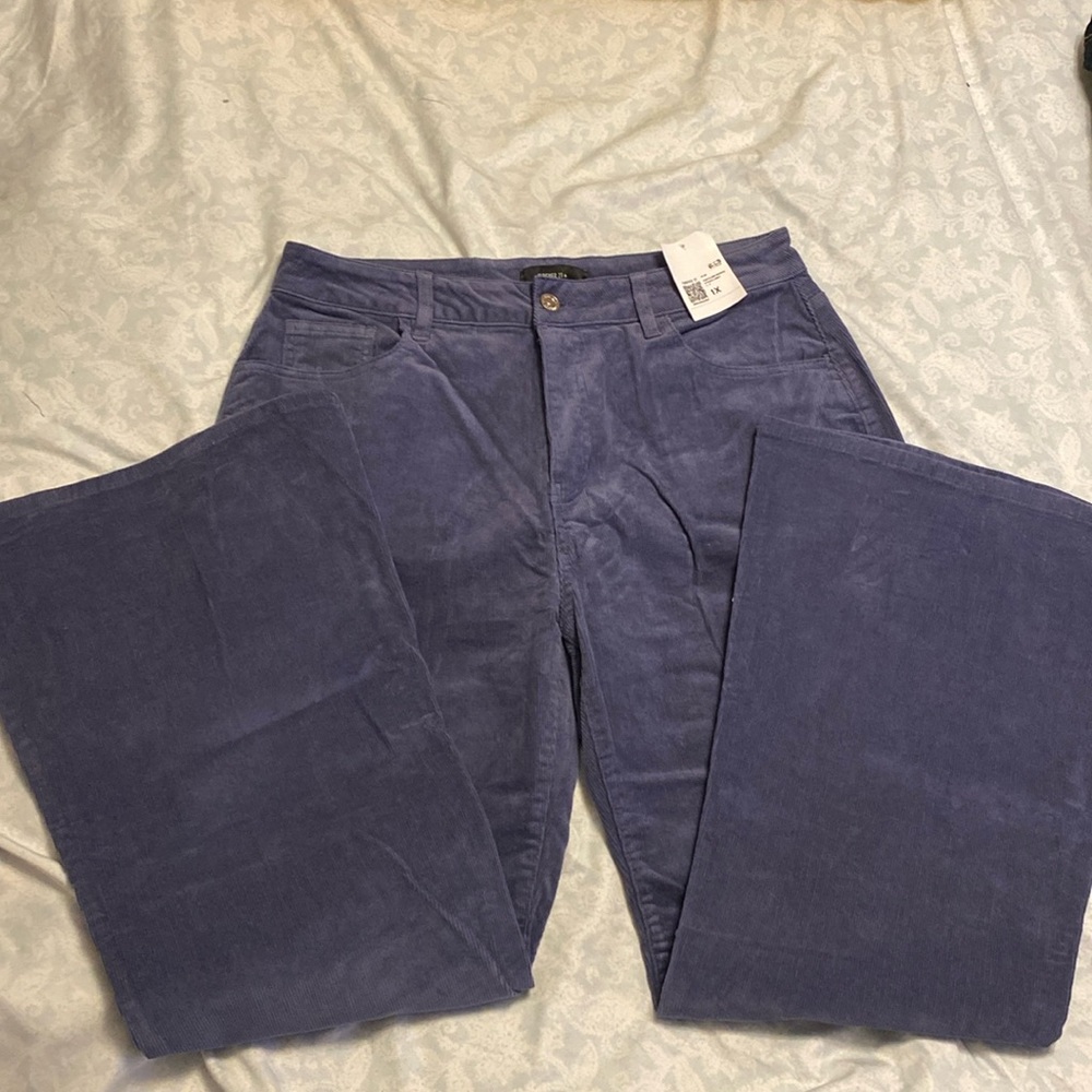 Corduroy Light blue/ periwinkle Pants